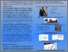 [thumbnail of Arteau J 2015 13177 Mechanical and ergonomic criteria in PPE standard.pdf]