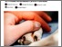 [thumbnail of Substance 2018 17160 3D Printed Personalized Canine Prostheses.pdf]