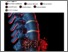 [thumbnail of Substance 2019 18306 Regenerating Intervertebral Discs with Chitosan Hydrogels - Substance.pdf]