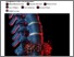 [thumbnail of Substance 2019 18307 Des hydrogels de chitosane pour régénérer les disques intervertébraux - Substance.pdf]